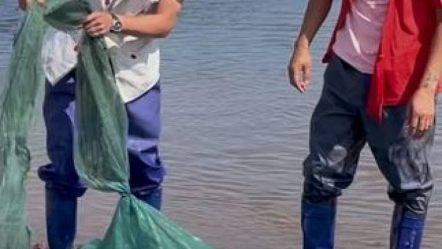 #户外捕鱼 #好多鱼