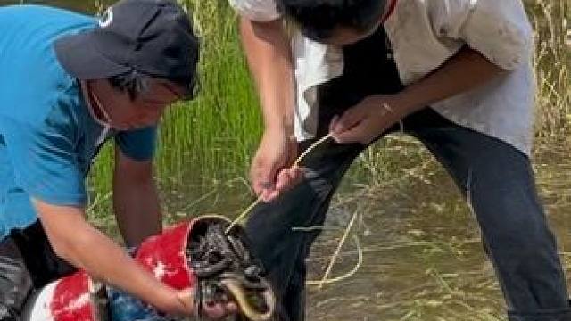 #户外捕鱼 #好多鱼