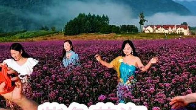 听说重庆现在到处都是高温天气，唯独红池坝秋高气爽又凉快。 #热门 #无人机航拍 #醉美花海季 #花海