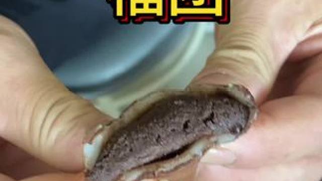 #还没到中秋就馋月饼了 19.920枚❤️#好好吃饭好好生活 #从来没吃过这么好吃的东西 #不敢想象