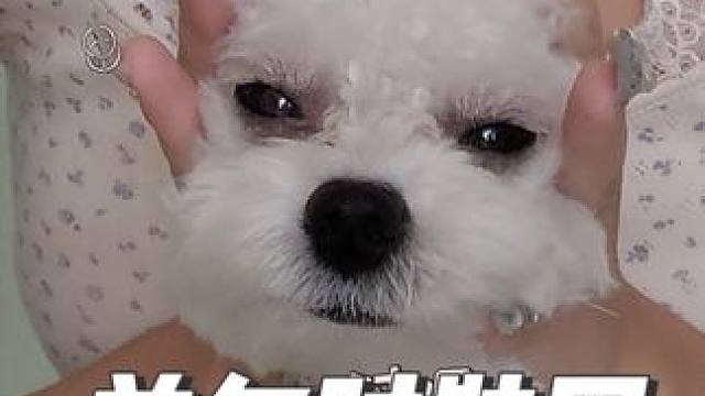 可是妈妈，我在韩国真的不敢穿这么花花（单押skrr #首尔时装周 #穿搭分享 #韩国地下偶像