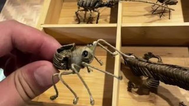 #艾特出最像它的人