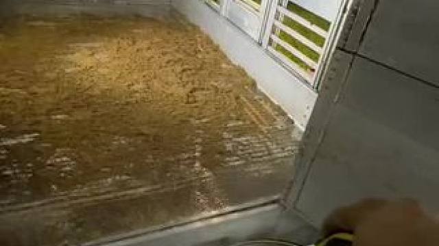 我发布了一个新视频，快来围观吧！