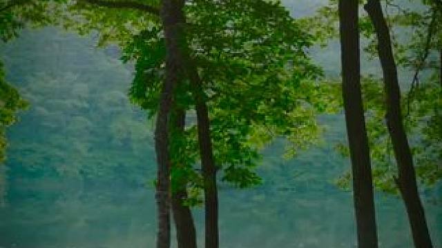 湖畔露营 #露营报告