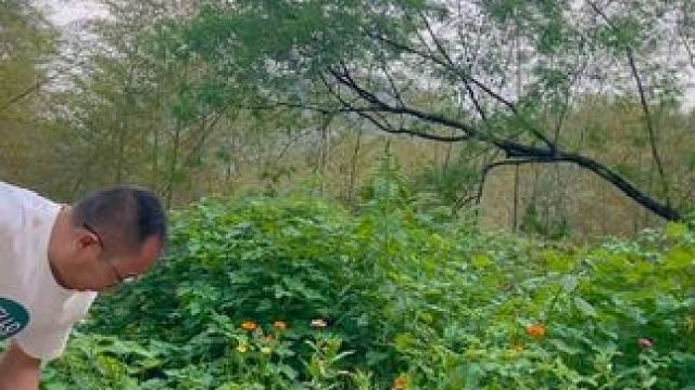 户外露营场地搭建#户外露营 #户外 #山野自然 #露营 #户外生活