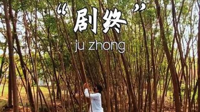 剧终的镜头中，定格的是人生。每一个瞬间都充满了无限可能和未知。摄影日常拍摄练习。#手机摄影 #摄影日