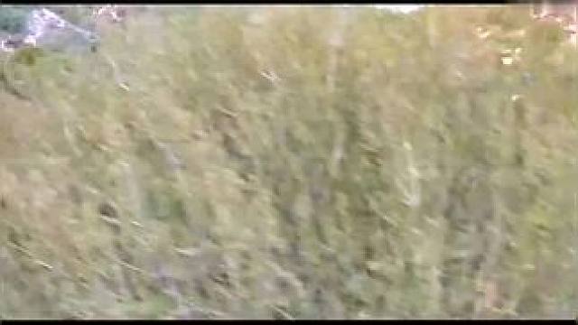 ﻿下载《西瓜视频》，免费观看精彩后续/精彩海量免费短剧免费看......下载《西瓜视频》，免费观看精