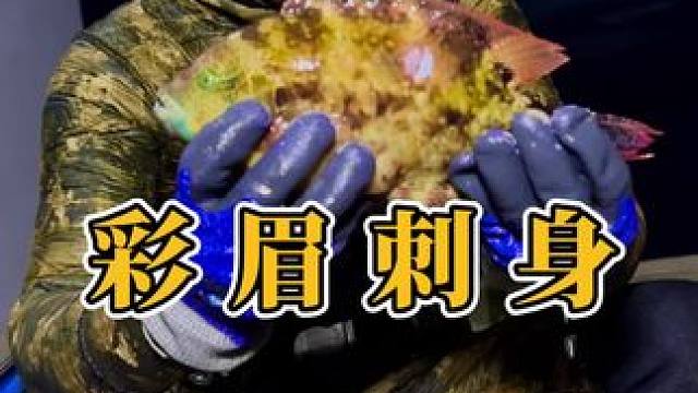 彩眉刺身，一种极高满足你味蕾的海鲜美食，90% 的朋友应该没有品尝过 #海鲜原产地 #潜水 #海鲜美