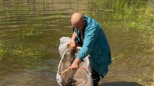 #户外捕鱼 #好多鱼