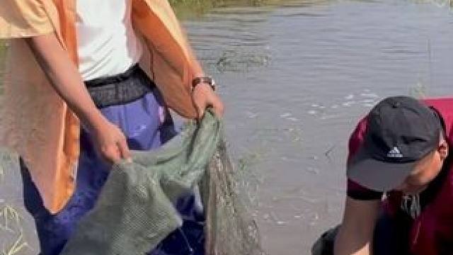 #户外捕鱼 #好多鱼