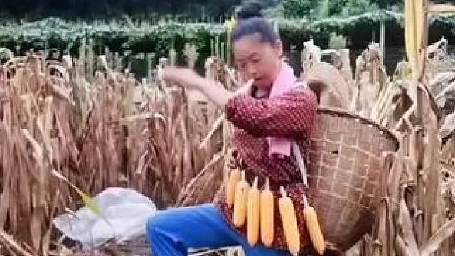 山卡卡里的农村大姐学费了开直播每天收获满满满您还在恐播怕播不敢开播吗#记录真实生活 #农村生活 #抖