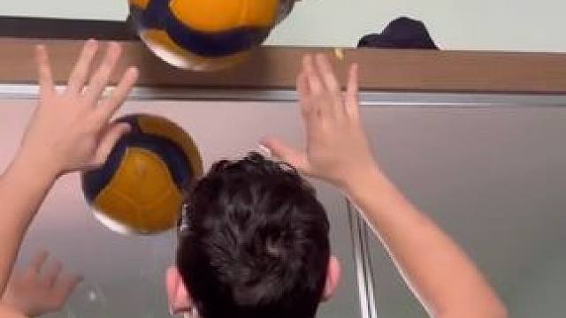 会打排球的猫猫 #排球 #用排球表达心情 #排球少年 #猫咪