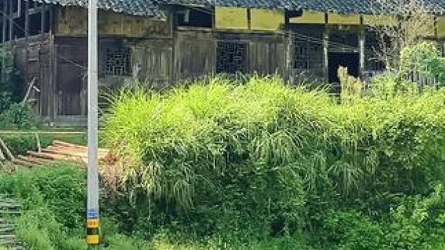 曾经人来人往，鸡鸣犬吠的乡村，村头村尾尽然看不到一个人，，水泥路修好了，人都搬走了，到底经历了什么？