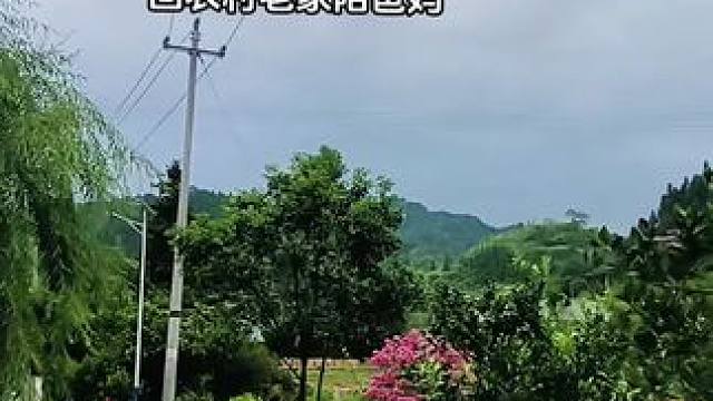 城里的房子我不买了，我要带着辛苦攒下的几十个回农村老家，不买房不买车，这几十个陪父母安度晚年够了！#