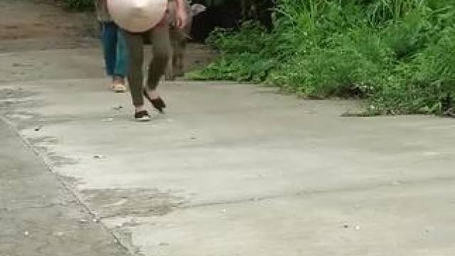 #我的乡村生活 #农村生活