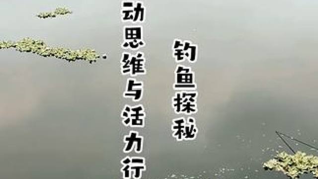钓鱼探秘之灵动思维鱼活力行动 钓鱼探秘之灵动思维鱼活力行动#钓鱼 #钓鱼的乐趣只有钓鱼人懂 #钓鱼人