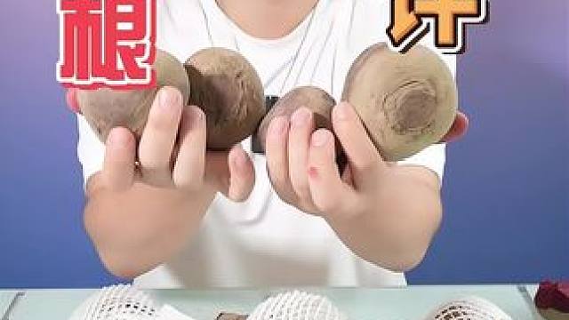 又一个号称蔬菜之王的甜菜根 甜菜根测评试吃。#甜菜根 #宝子测评 #蔬菜测评