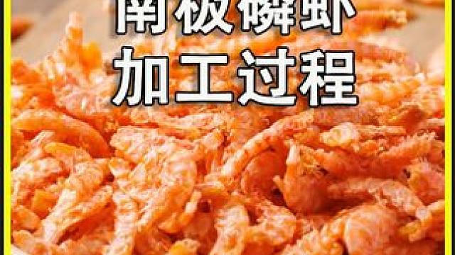 原来南极磷虾是这样捕捞加工的#科普 #磷虾 #南极磷虾 #海鲜美食