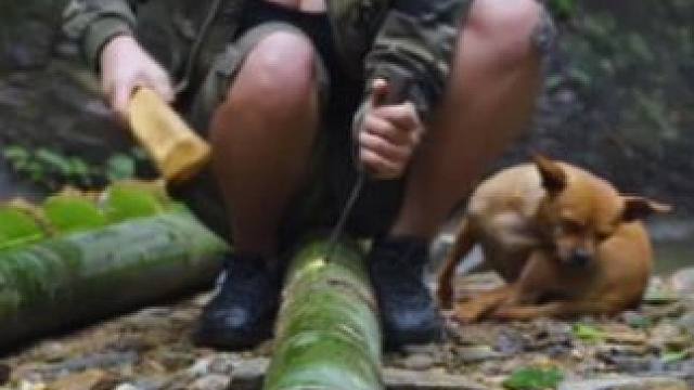 远离网络独自踏入深山生活，小姐姐一身本事发挥淋漓尽致（一） #野外生存 #我的乡野山居生活 #原始技