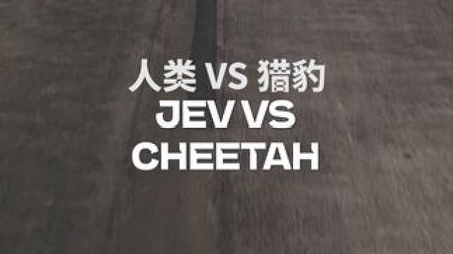 人类 VS 猎豹，谁会赢？#赛车 #FE电动方程式