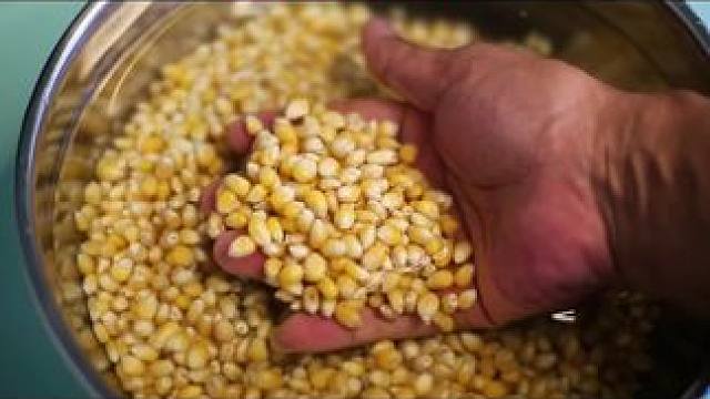 鲤鱼钓饵超好用的鱼饵 鲤鱼钓饵
超好用的鱼饵
#爆护饵料 #鱼饵制作 #饵料 #秘制饵料 #饵料窝料