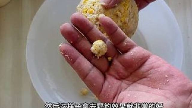 水果玉米做钓饵适合秋季野钓的鱼饵制作方法很重要学会后鱼饵效果 水果玉米
做钓饵
适合秋季野钓的鱼饵
