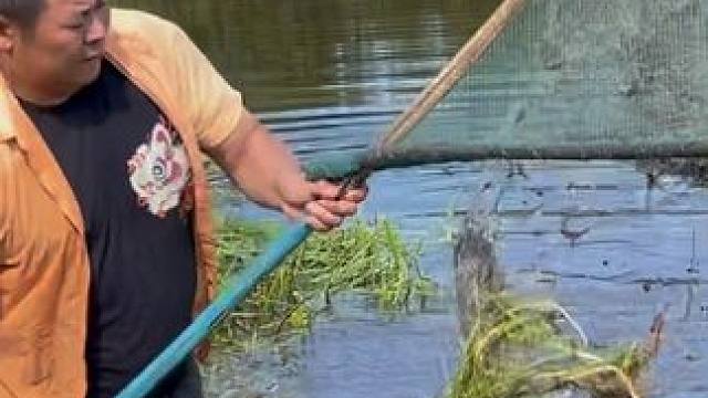 #户外捕鱼 #好大一条鱼