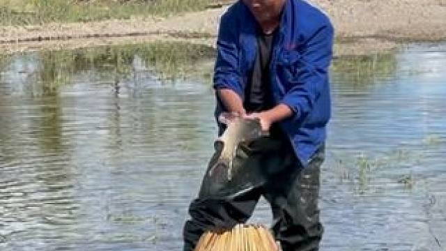 #户外捕鱼 #好大一条鱼