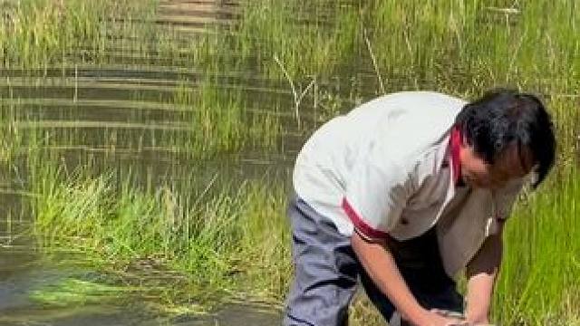 #户外捕鱼 #好大一条鱼