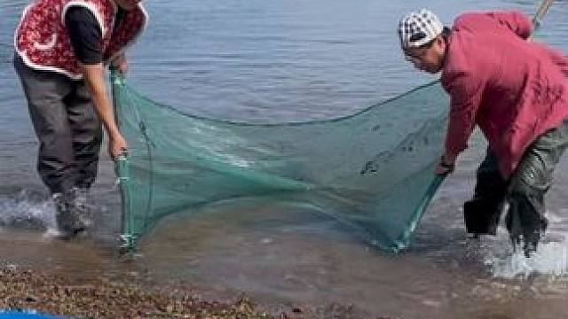 #户外捕鱼 #好多鱼