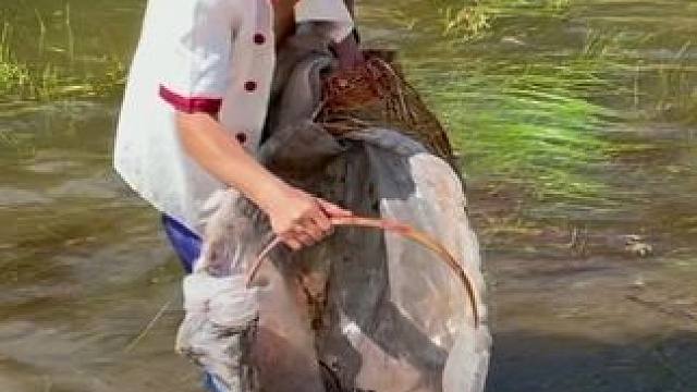 #户外捕鱼 #好多鱼