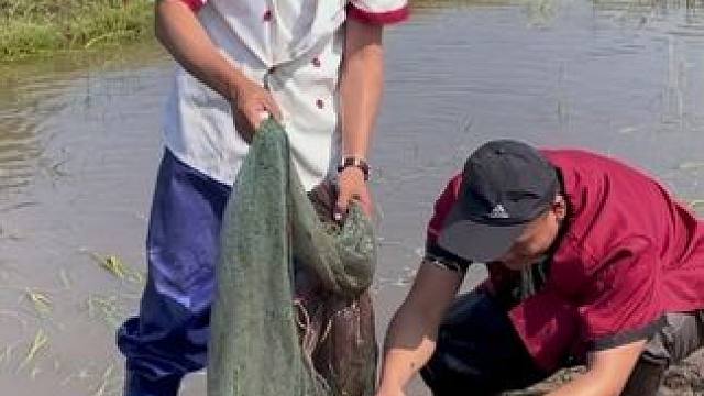 #户外捕鱼 #好多鱼