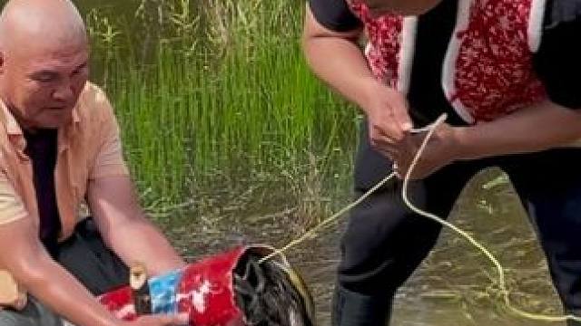 #户外捕鱼 #好多鱼