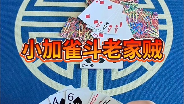 小家雀斗老家贼