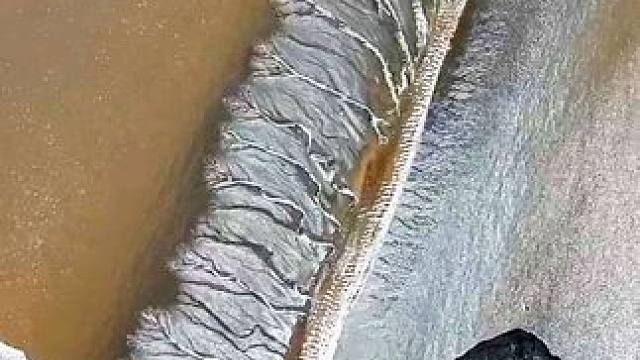 钱塘江再现绝美潮汐树，形似“天使羽毛”，尊敬的老师们，节日快乐#潮汐树 #钱塘江大潮 #海宁观潮