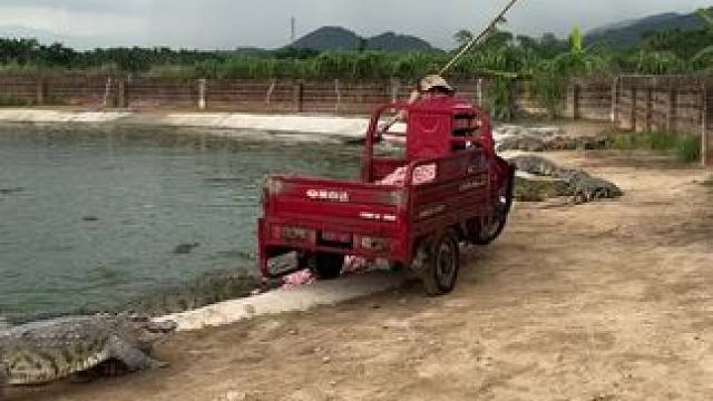 我发布了一个新视频，快来围观吧！