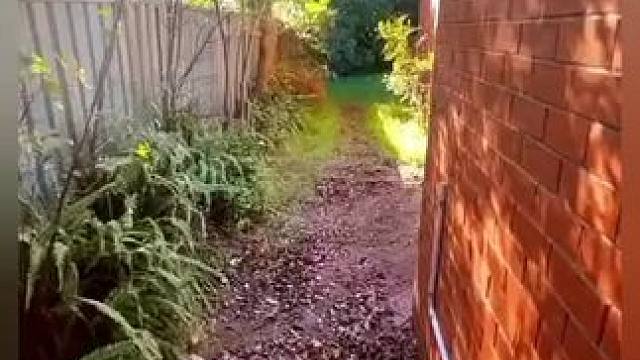 我发布了一个新视频，快来围观吧！