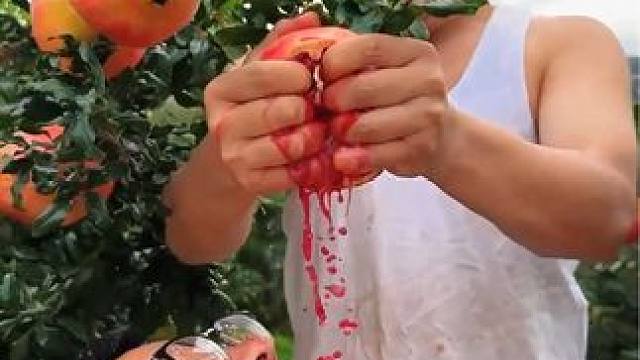 父亲的爱总是含蓄而深沉 #中秋快乐 #川哥川嫂 #石榴