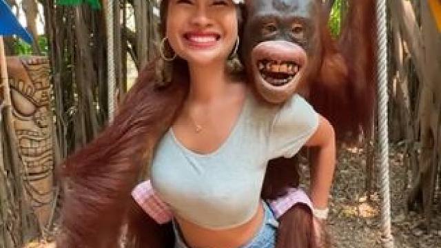 泰国网红猩猩与游客合影 #国外视频分享 #猴子成精 #泰国网红猩猩