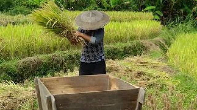 大实话，来自老百姓的心声，实在人说实在话！#老百姓关心的话题 #大实话 #农村 #农民种地不容易 #