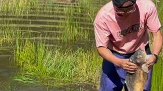 #户外捕鱼 #好大一条鱼