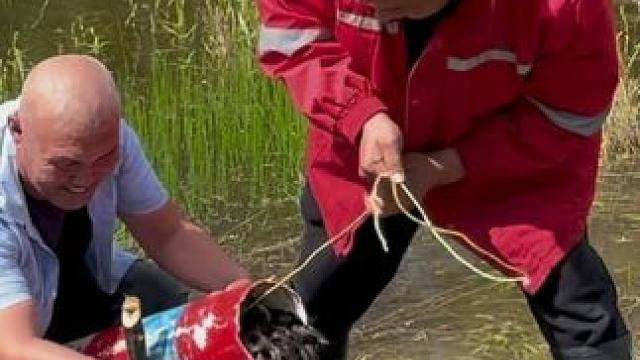 #户外捕鱼 #好多鱼