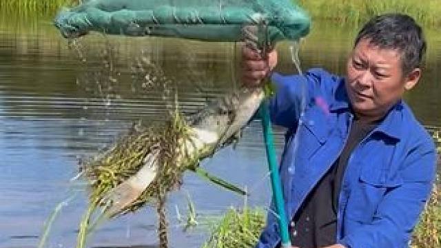 #户外捕鱼 #好大一条鱼