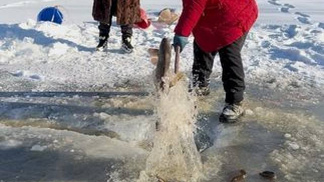 #户外捕鱼 #好多鱼