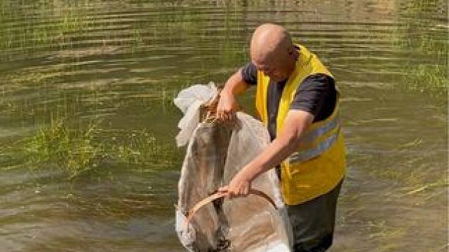 #户外捕鱼 #好多鱼