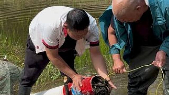 #户外捕鱼 #好多鱼