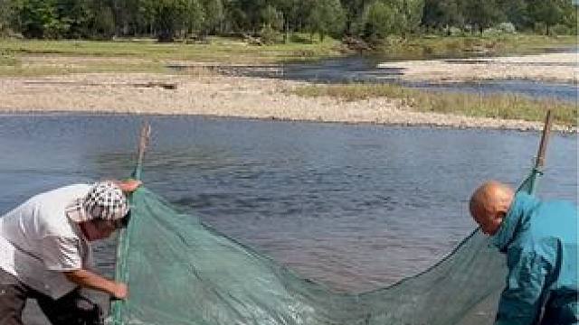 #户外捕鱼 #好多鱼