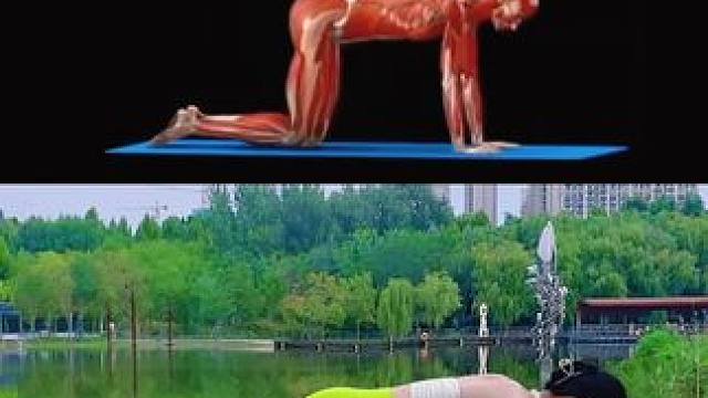 就这一个简单的动作让你#塑形全身