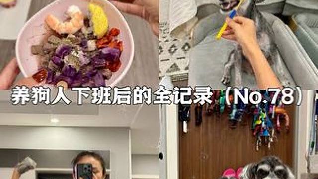 第78集｜vlog养狗人下班后的全记录 #记录真实生活 #养狗人 #日常vlog #养狗 #自律