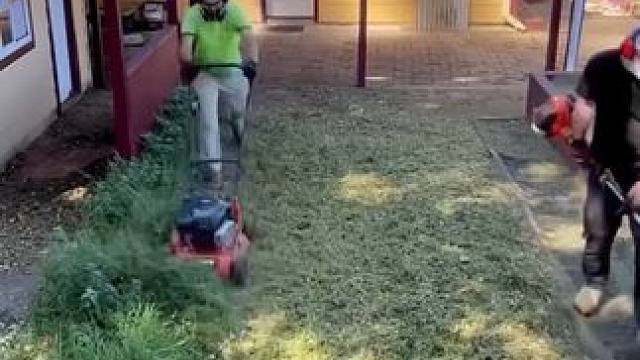 推给你说明你家庭院卫生该清理了°F #极度舒适 #解压视频#强迫症看了很享受 #超级解压超级舒适 #